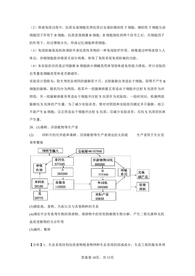 (8.21)-点睛押题卷&mdash;&mdash;湖北卷参考答案及解析_2024高考押题卷_132024高途全系列_26高途点睛卷_2024点睛密卷-生物