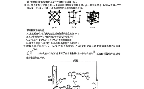 九师联盟2025届高三3月质量检测化学_2025年3月_250329九师联盟2025届高三3月质量检测（全科）_九师联盟2025届高三3月质量检测化学