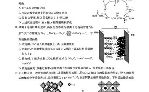 2025届九师联盟高三上学期1月期末化学试题_2025年1月_250123九师联盟2025届高三1月质量检测G（1.22-23）（全科）_2025届九师联盟高三上学期1月期末化学试题+答案（S-G）