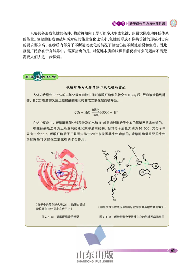 鲁科版高中化学选修3-物质结构与性质（2003课标版）_4-教培资料-26年最新资料-同步更新_初中高中教资_03科三专项（进去保存报考的学科即可）_112025高中科目（全）电子教材