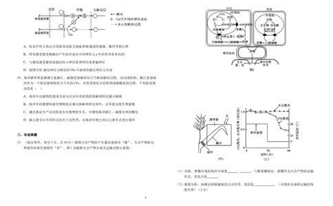 2025届安徽省六安市金安区安徽省六安第一中学高三模拟预测生物试题_2025年5月_250527安徽省六安第一中学2025届高三下学期模拟预测试题