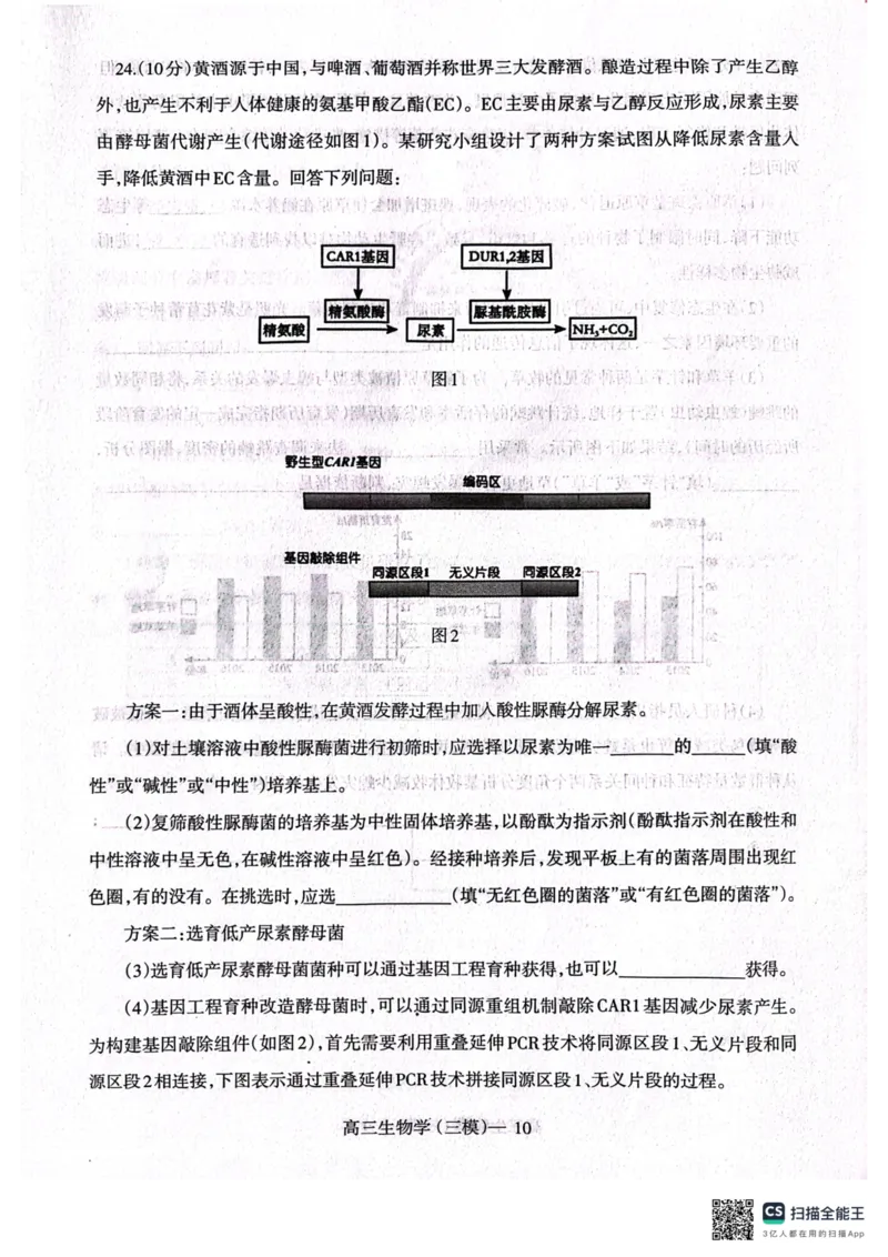2025届辽宁省辽南协作体高三下学期第三次模拟生物试卷_2025年5月_0519辽宁省辽南协作体2024-2025学年高三下学期第三次模拟考试_2025届辽宁省辽南协作体高三下学期第三次模拟生物试卷