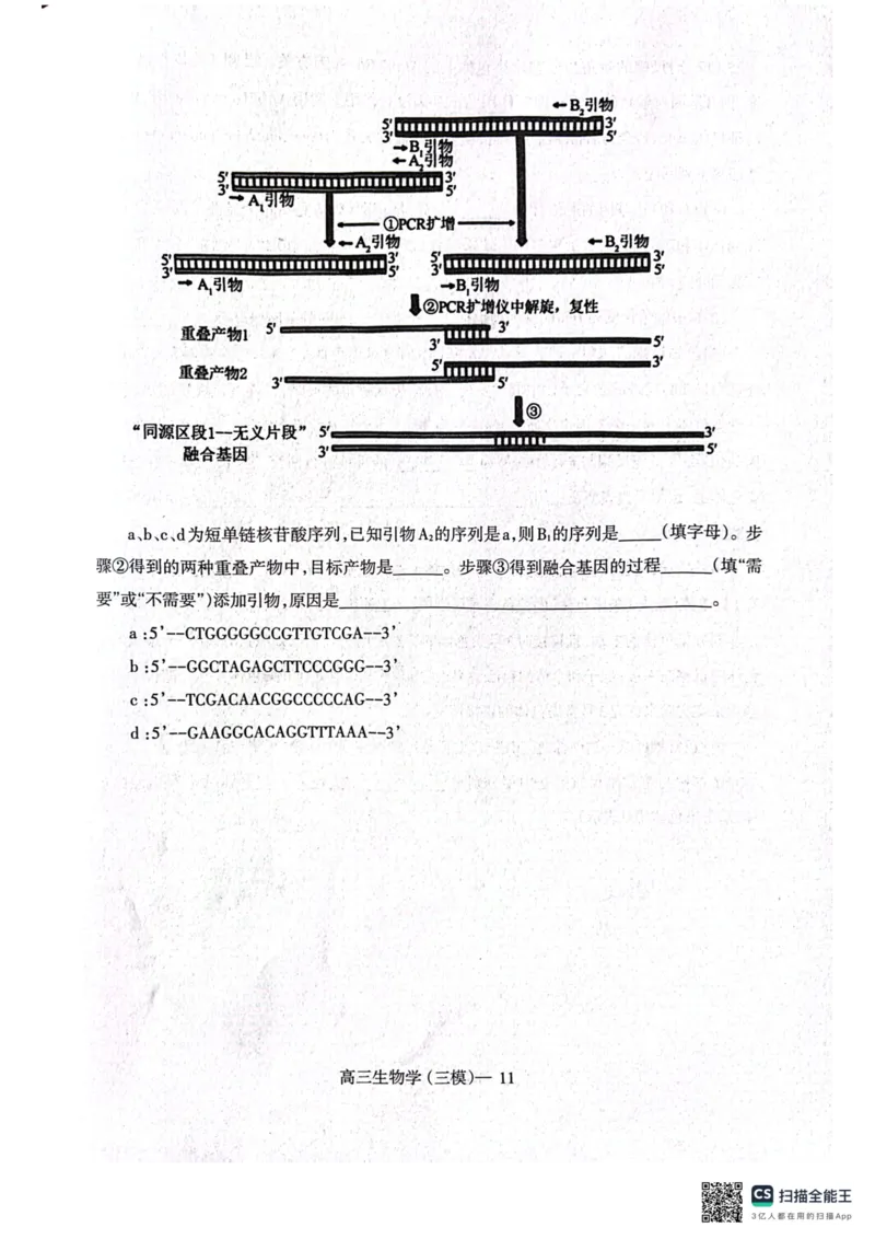 2025届辽宁省辽南协作体高三下学期第三次模拟生物试卷_2025年5月_0519辽宁省辽南协作体2024-2025学年高三下学期第三次模拟考试_2025届辽宁省辽南协作体高三下学期第三次模拟生物试卷