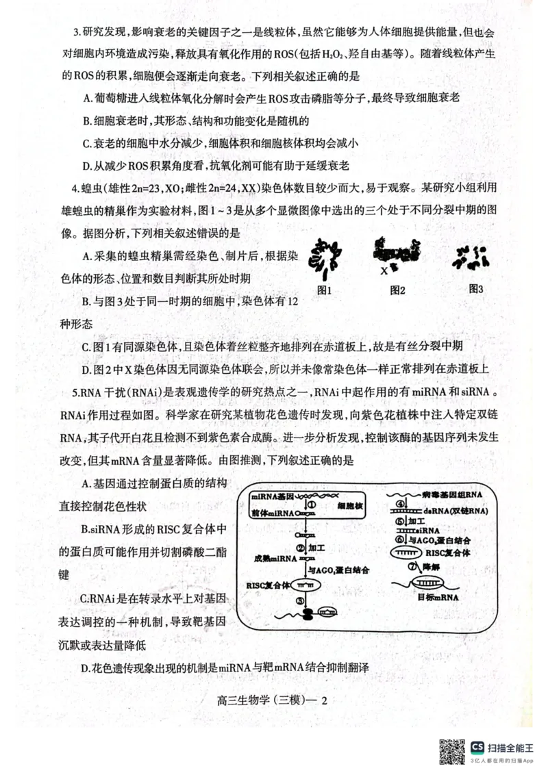 2025届辽宁省辽南协作体高三下学期第三次模拟生物试卷_2025年5月_0519辽宁省辽南协作体2024-2025学年高三下学期第三次模拟考试_2025届辽宁省辽南协作体高三下学期第三次模拟生物试卷