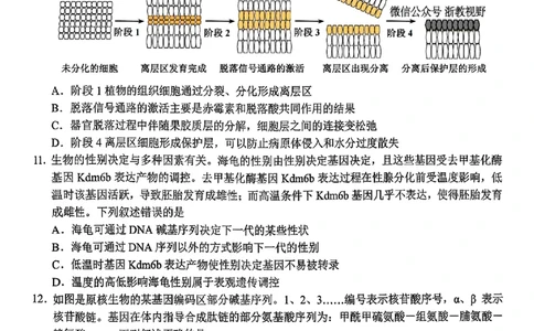 Z20+名校联盟（浙江省名校新高考研究联盟）2026届高三第一次联考生物_2025年8月_250823Z20+名校联盟（浙江省名校新高考研究联盟）2026届高三第一次联考（全科）