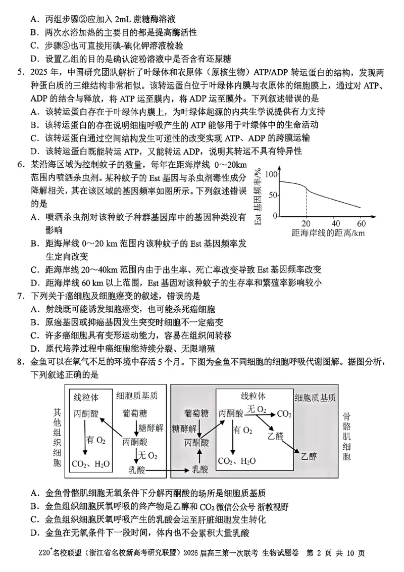 Z20+名校联盟（浙江省名校新高考研究联盟）2026届高三第一次联考生物_2025年8月_250823Z20+名校联盟（浙江省名校新高考研究联盟）2026届高三第一次联考（全科）