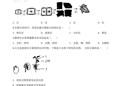 精品解析：辽宁省营口市2020年中考生物试题（原卷版）_中考真题_8.生物中考真题2015-2024年_2020生物真题74份_2020年中考真题精品解析生物(辽宁营口卷)精编word版