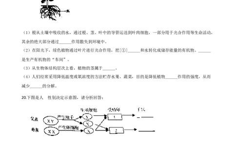 精品解析：辽宁省营口市2020年中考生物试题（原卷版）_中考真题_8.生物中考真题2015-2024年_2020生物真题74份_2020年中考真题精品解析生物(辽宁营口卷)精编word版