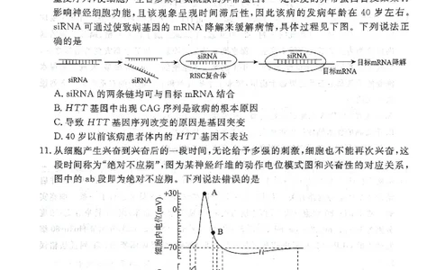 2025年辽宁名校联盟高三生物试卷-3月_2025年3月_250305辽宁名校联盟2025届高三下学期3月联考（全科）_辽宁省名校联盟2024-2025学年高三下学期3月份联合考试生物