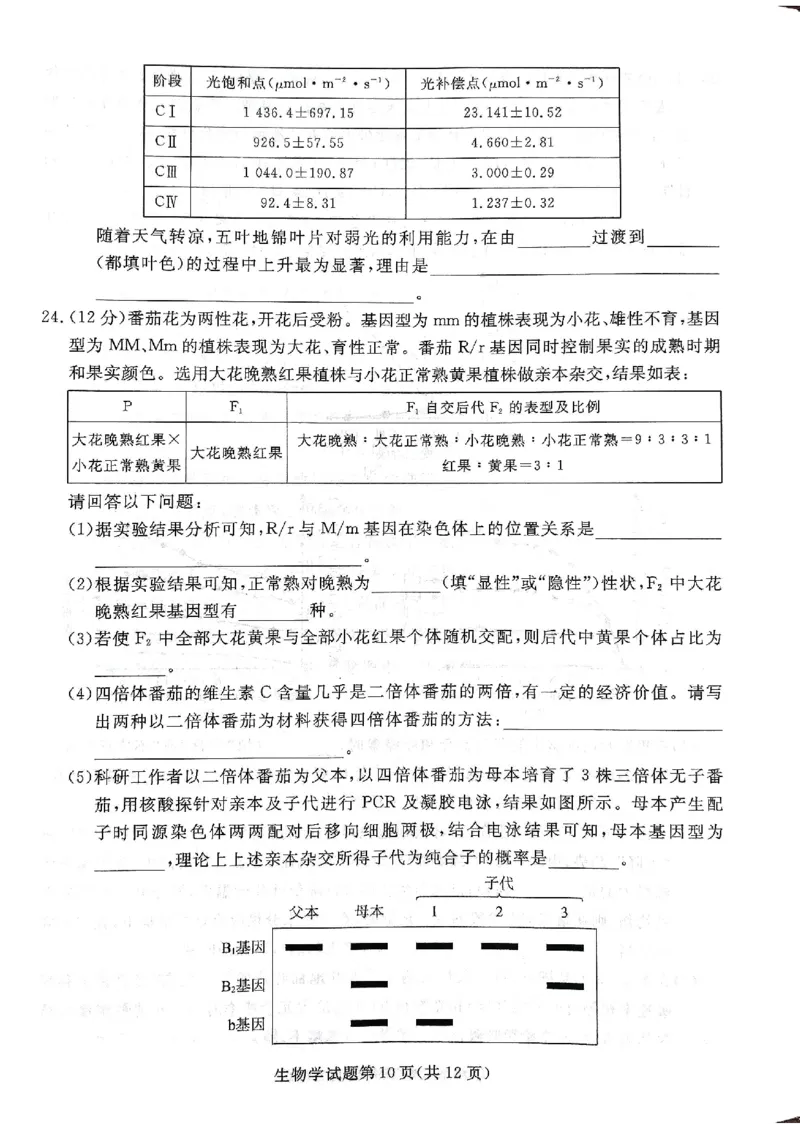 2025年辽宁名校联盟高三生物试卷-3月_2025年3月_250305辽宁名校联盟2025届高三下学期3月联考（全科）_辽宁省名校联盟2024-2025学年高三下学期3月份联合考试生物