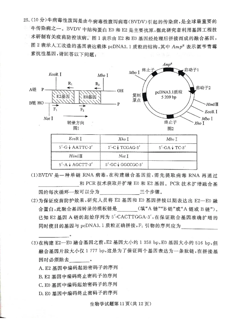 2025年辽宁名校联盟高三生物试卷-3月_2025年3月_250305辽宁名校联盟2025届高三下学期3月联考（全科）_辽宁省名校联盟2024-2025学年高三下学期3月份联合考试生物
