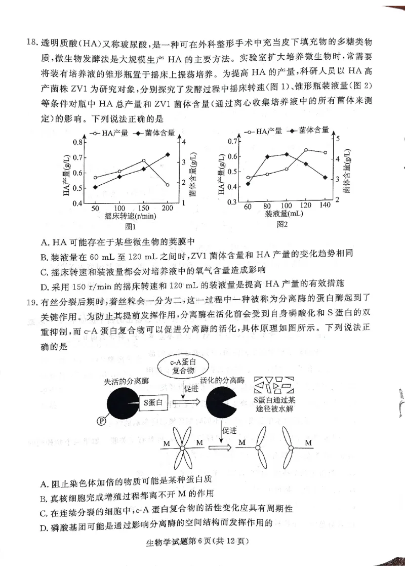 2025年辽宁名校联盟高三生物试卷-3月_2025年3月_250305辽宁名校联盟2025届高三下学期3月联考（全科）_辽宁省名校联盟2024-2025学年高三下学期3月份联合考试生物