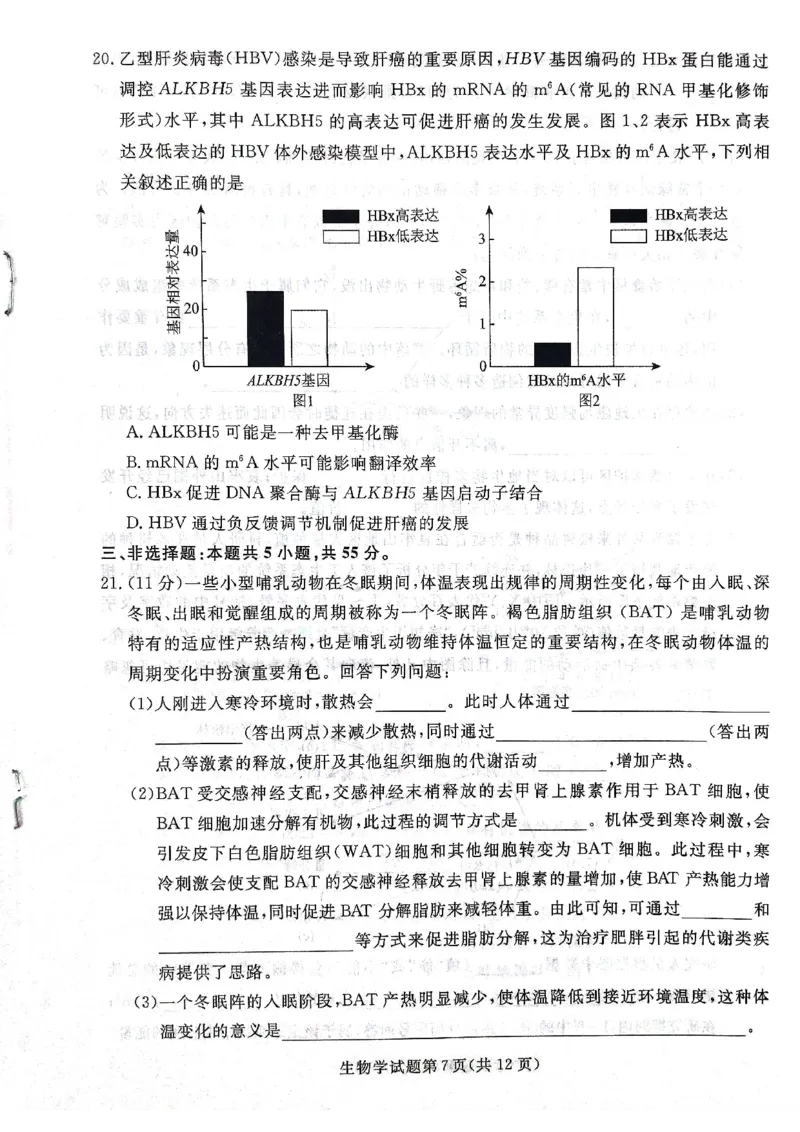 2025年辽宁名校联盟高三生物试卷-3月_2025年3月_250305辽宁名校联盟2025届高三下学期3月联考（全科）_辽宁省名校联盟2024-2025学年高三下学期3月份联合考试生物