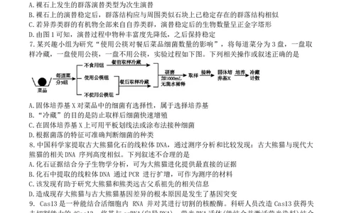 2025届辽宁省本溪市高级中学高三下学期第七次模拟生物试题_2025年4月_250407辽宁省本溪市高级中学2025届高三下学期第七次模拟试题