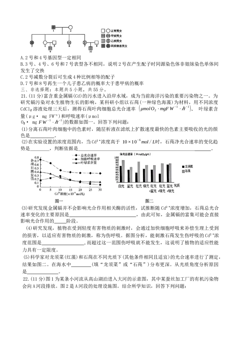 2025届辽宁省本溪市高级中学高三下学期第七次模拟生物试题_2025年4月_250407辽宁省本溪市高级中学2025届高三下学期第七次模拟试题