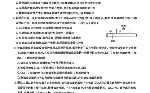 华大新高考联盟2025届高三4月教学质量测评生物_2025年4月_250428湖北省华大新高考联盟2025届高三4月教学质量测评（全科）_华大新高考联盟2025届高三4月教学质量测评生物