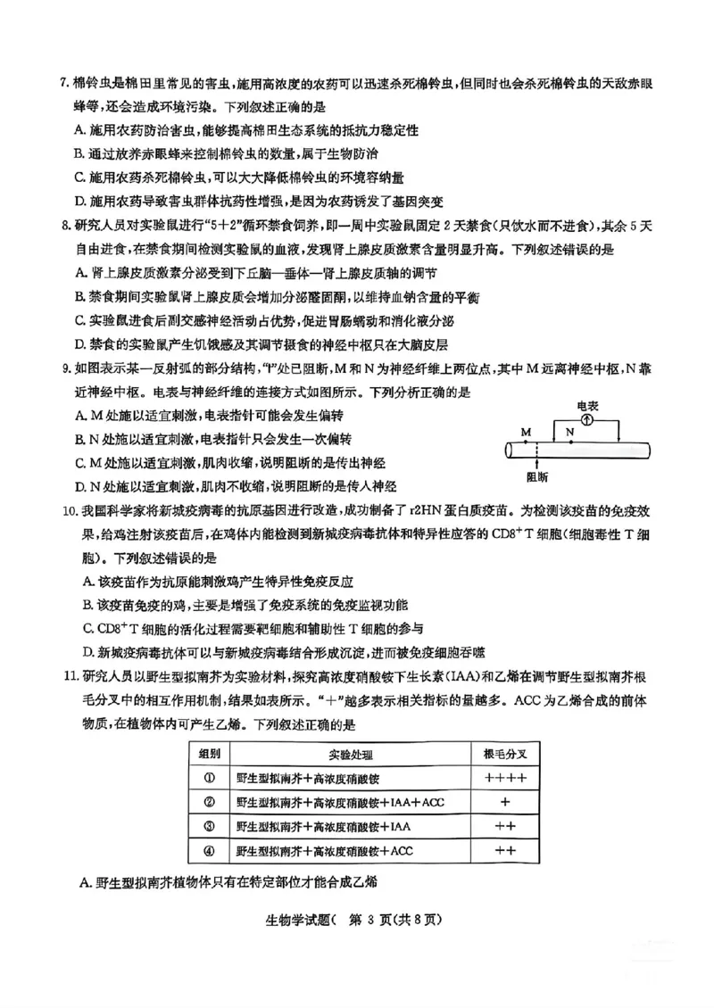 华大新高考联盟2025届高三4月教学质量测评生物_2025年4月_250428湖北省华大新高考联盟2025届高三4月教学质量测评（全科）_华大新高考联盟2025届高三4月教学质量测评生物