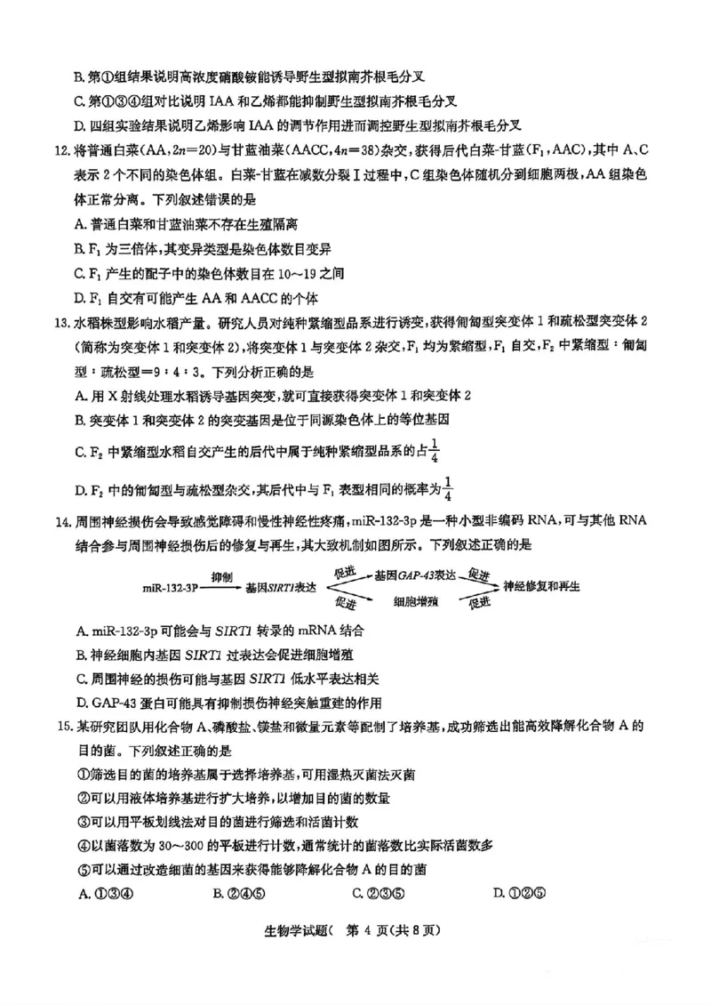 华大新高考联盟2025届高三4月教学质量测评生物_2025年4月_250428湖北省华大新高考联盟2025届高三4月教学质量测评（全科）_华大新高考联盟2025届高三4月教学质量测评生物