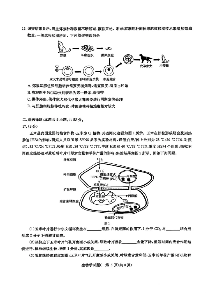 华大新高考联盟2025届高三4月教学质量测评生物_2025年4月_250428湖北省华大新高考联盟2025届高三4月教学质量测评（全科）_华大新高考联盟2025届高三4月教学质量测评生物
