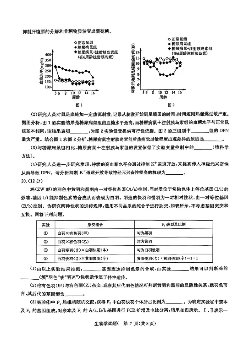 华大新高考联盟2025届高三4月教学质量测评生物_2025年4月_250428湖北省华大新高考联盟2025届高三4月教学质量测评（全科）_华大新高考联盟2025届高三4月教学质量测评生物