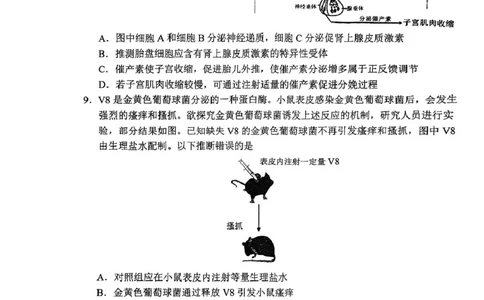 2025届吉林省长春市高三下学期质量监测(二)生物试题_2025年2月_250225吉林省长春市2025届高三质量监测（二）（长春二模）（全科）_2025届吉林省长春市高三下学期质量监测（二）生物学