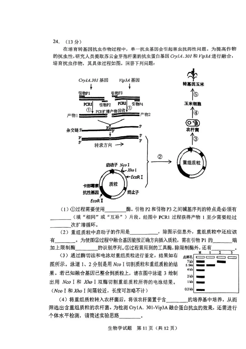2025届吉林省长春市高三下学期质量监测(二)生物试题_2025年2月_250225吉林省长春市2025届高三质量监测（二）（长春二模）（全科）_2025届吉林省长春市高三下学期质量监测（二）生物学