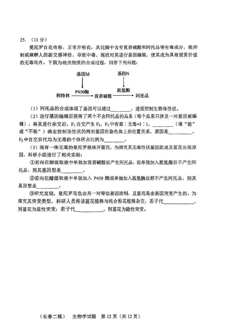 2025届吉林省长春市高三下学期质量监测(二)生物试题_2025年2月_250225吉林省长春市2025届高三质量监测（二）（长春二模）（全科）_2025届吉林省长春市高三下学期质量监测（二）生物学