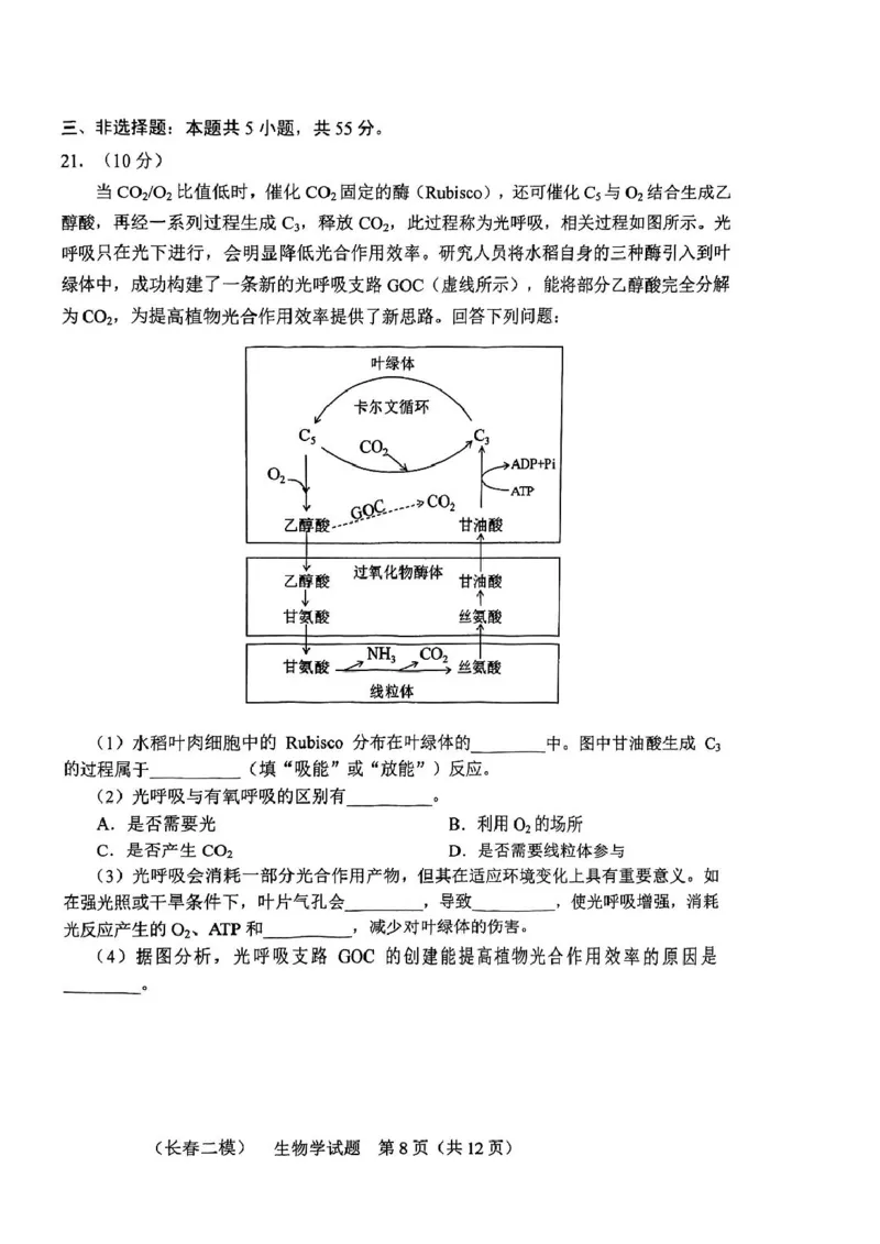 2025届吉林省长春市高三下学期质量监测(二)生物试题_2025年2月_250225吉林省长春市2025届高三质量监测（二）（长春二模）（全科）_2025届吉林省长春市高三下学期质量监测（二）生物学