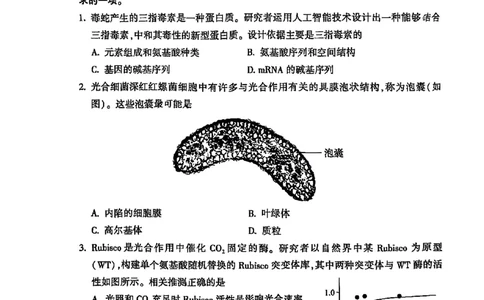2025北京朝阳高三一模生物试题及答案_2025年4月_250407北京市朝阳区2025届高三一模（全科）