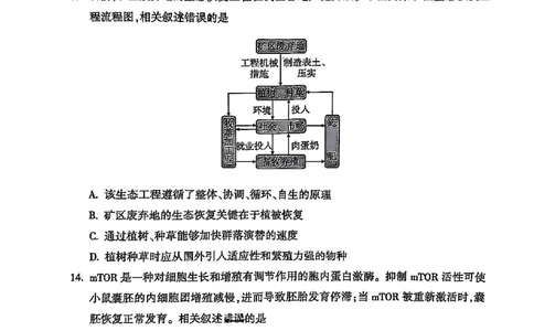 2025北京朝阳高三一模生物试题及答案_2025年4月_250407北京市朝阳区2025届高三一模（全科）