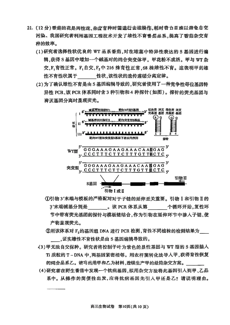 2025北京朝阳高三一模生物试题及答案_2025年4月_250407北京市朝阳区2025届高三一模（全科）