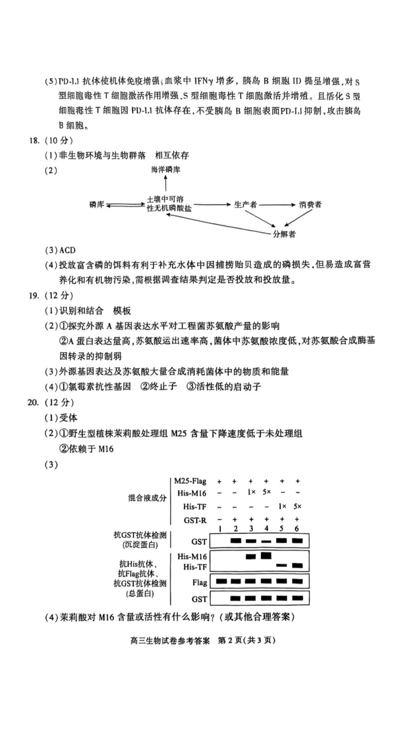 2025北京朝阳高三一模生物试题及答案_2025年4月_250407北京市朝阳区2025届高三一模（全科）