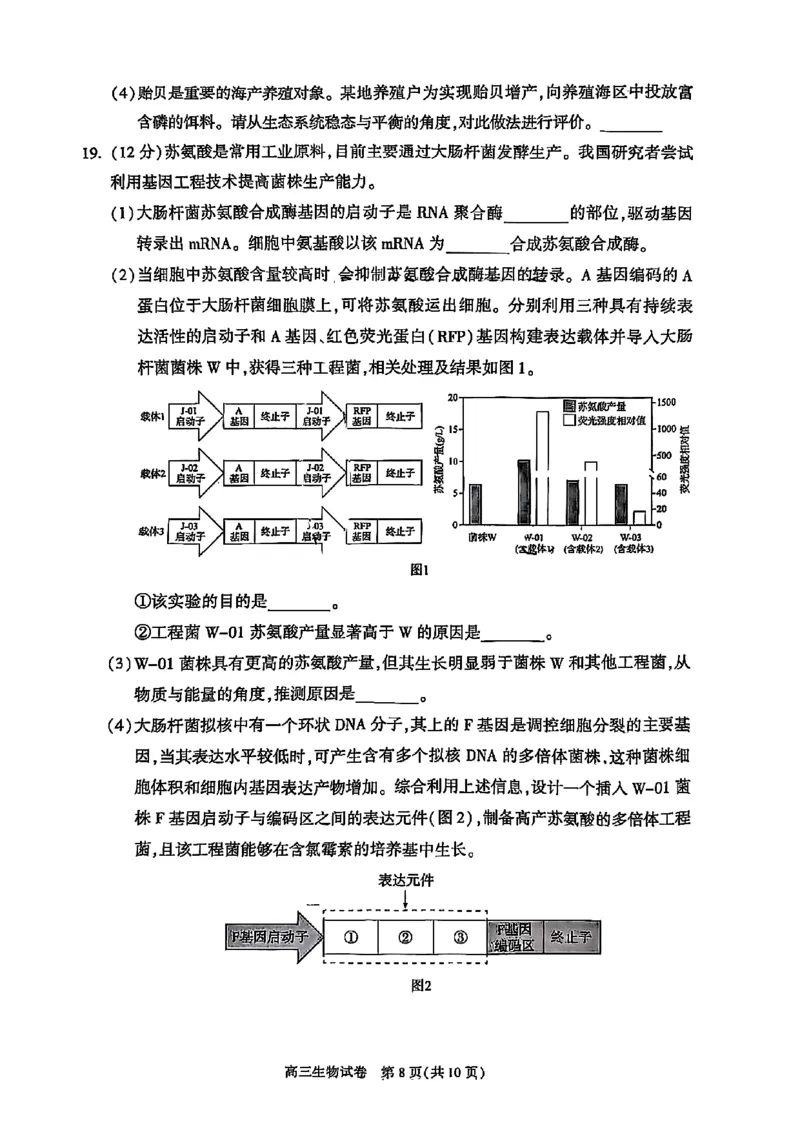 2025北京朝阳高三一模生物试题及答案_2025年4月_250407北京市朝阳区2025届高三一模（全科）