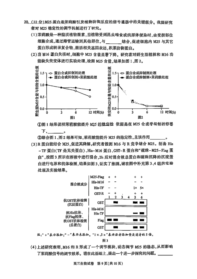 2025北京朝阳高三一模生物试题及答案_2025年4月_250407北京市朝阳区2025届高三一模（全科）