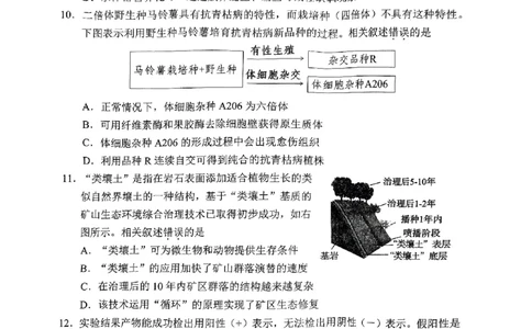 2025届湖南省长沙市高三上学期新高考适应性考试生物考试试题_2025年1月_250114长沙市2024-2025学年高三上学期新高考适应性考试（全科）