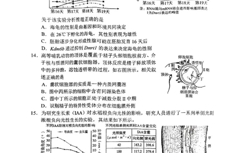2025届湖南省长沙市高三上学期新高考适应性考试生物考试试题_2025年1月_250114长沙市2024-2025学年高三上学期新高考适应性考试（全科）