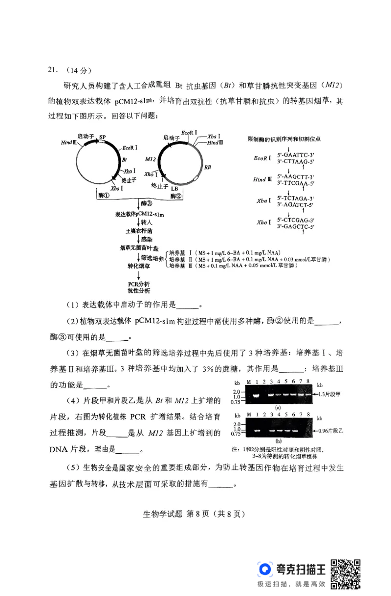 2025届湖南省长沙市高三上学期新高考适应性考试生物考试试题_2025年1月_250114长沙市2024-2025学年高三上学期新高考适应性考试（全科）