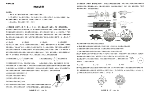 2026届陕西省西安市新城区高三上学期一模物理试题（含答案）_2025年9月_250922名校教研联盟&middot;陕西省西安市新城区2026届高三9月考试（全科）