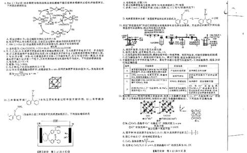 化学_2025年5月_0521河北省金科大联考2025届高三下学期5月份质量检测_河北省金科大联考2025届高三下学期5月份质量检测+化学试卷