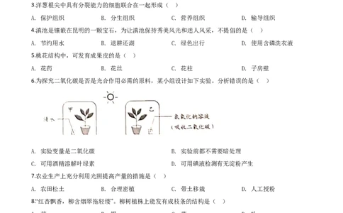 精品解析：云南省昆明市2020年中考生物试题（原卷版）_中考真题_8.生物中考真题2015-2024年_2020生物真题74份_2020年中考真题精品解析生物（云南昆明卷）精编word版