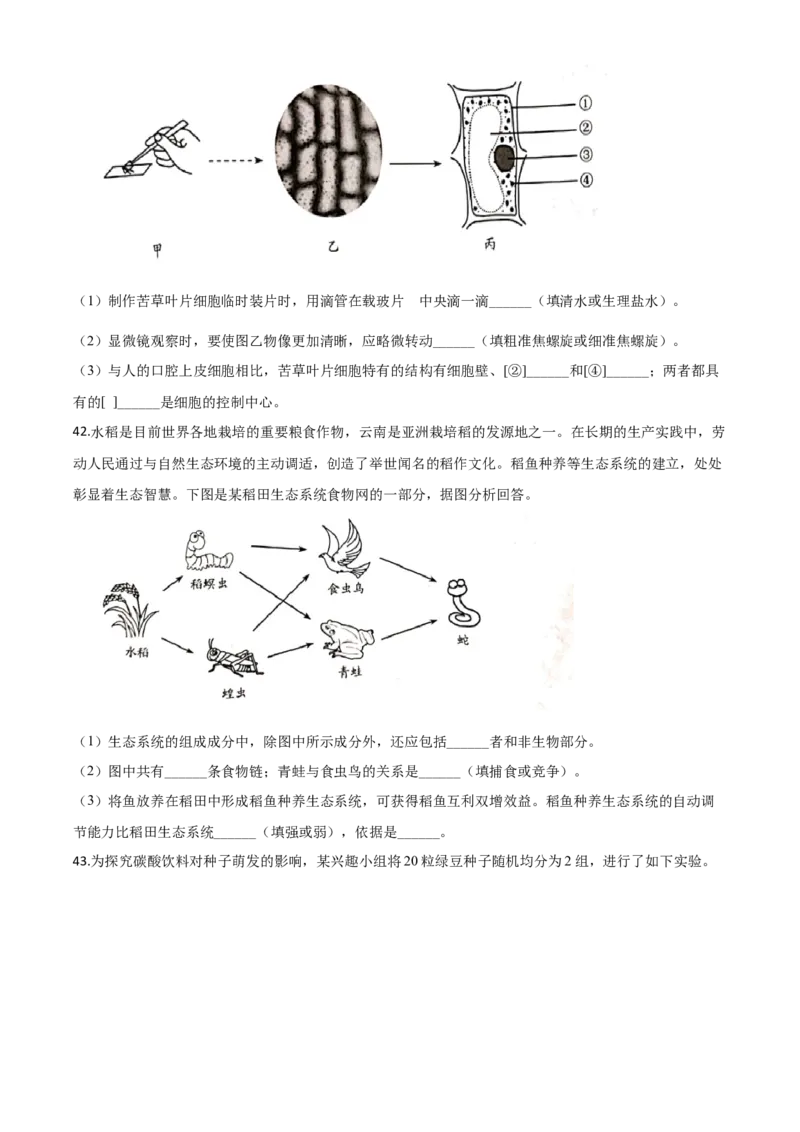 精品解析：云南省昆明市2020年中考生物试题（原卷版）_中考真题_8.生物中考真题2015-2024年_2020生物真题74份_2020年中考真题精品解析生物（云南昆明卷）精编word版