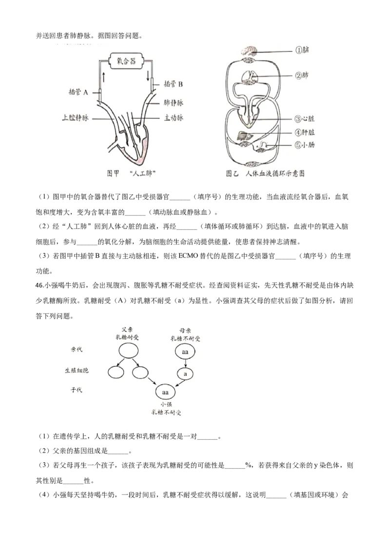 精品解析：云南省昆明市2020年中考生物试题（原卷版）_中考真题_8.生物中考真题2015-2024年_2020生物真题74份_2020年中考真题精品解析生物（云南昆明卷）精编word版