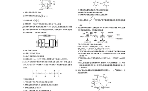 化学_2025年10月_251016江西省西路七校2025-2026学年高三上学期10月第一次联考_江西省西路七校2025-2026学年高三上学期10月第一次联考化学试题（含答案）