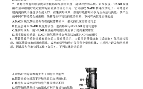 -河南省天一小高考2025-2026学年高三上学期10月联考生物试题_2025年10月_251026天一大联考2025-2026学年(上)高三年级天一小高考(一)（全科）