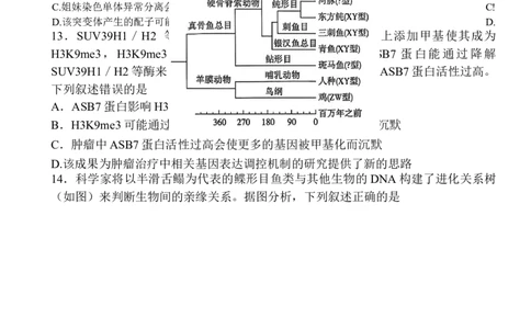 -河南省天一小高考2025-2026学年高三上学期10月联考生物试题_2025年10月_251026天一大联考2025-2026学年(上)高三年级天一小高考(一)（全科）