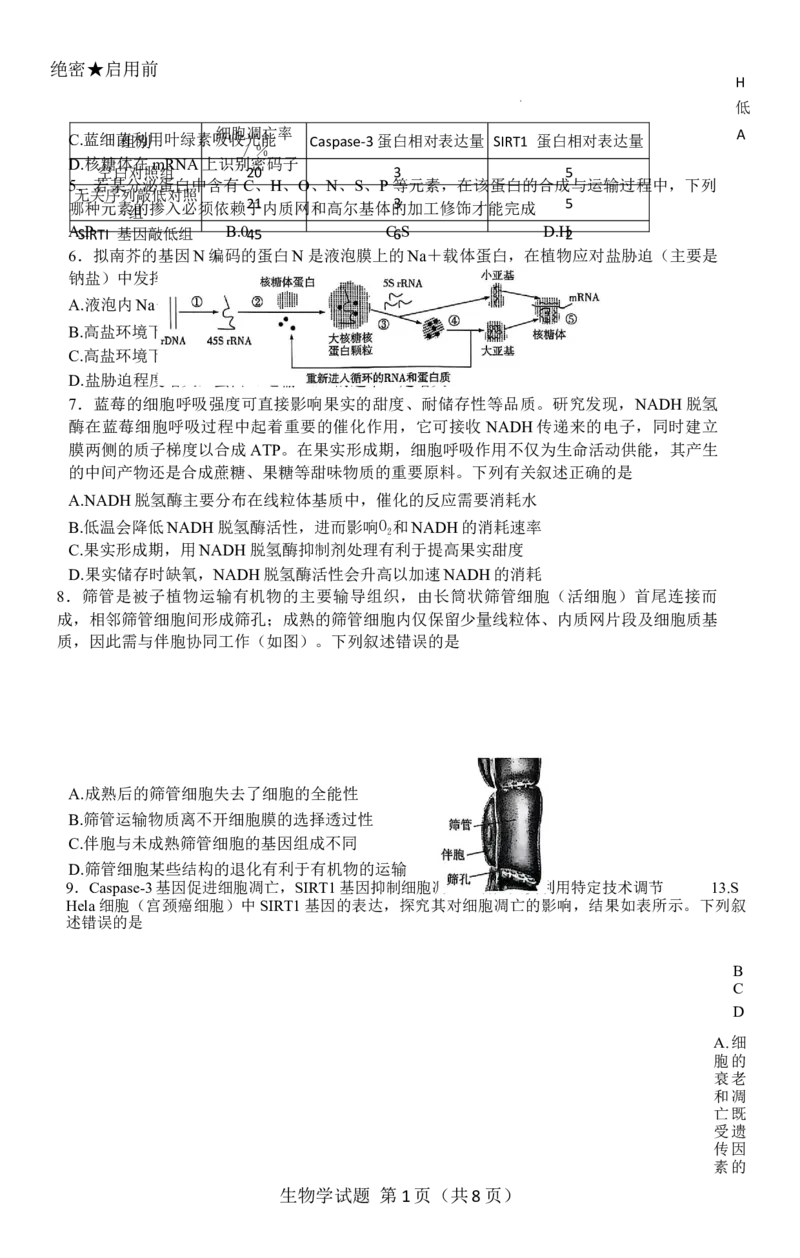 -河南省天一小高考2025-2026学年高三上学期10月联考生物试题_2025年10月_251026天一大联考2025-2026学年(上)高三年级天一小高考(一)（全科）
