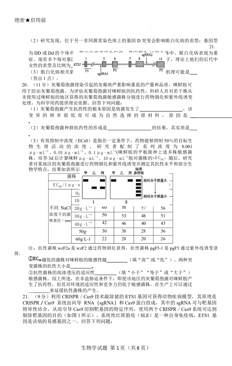 -河南省天一小高考2025-2026学年高三上学期10月联考生物试题_2025年10月_251026天一大联考2025-2026学年(上)高三年级天一小高考(一)（全科）
