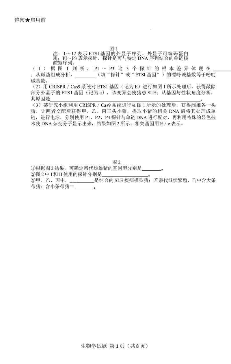 -河南省天一小高考2025-2026学年高三上学期10月联考生物试题_2025年10月_251026天一大联考2025-2026学年(上)高三年级天一小高考(一)（全科）