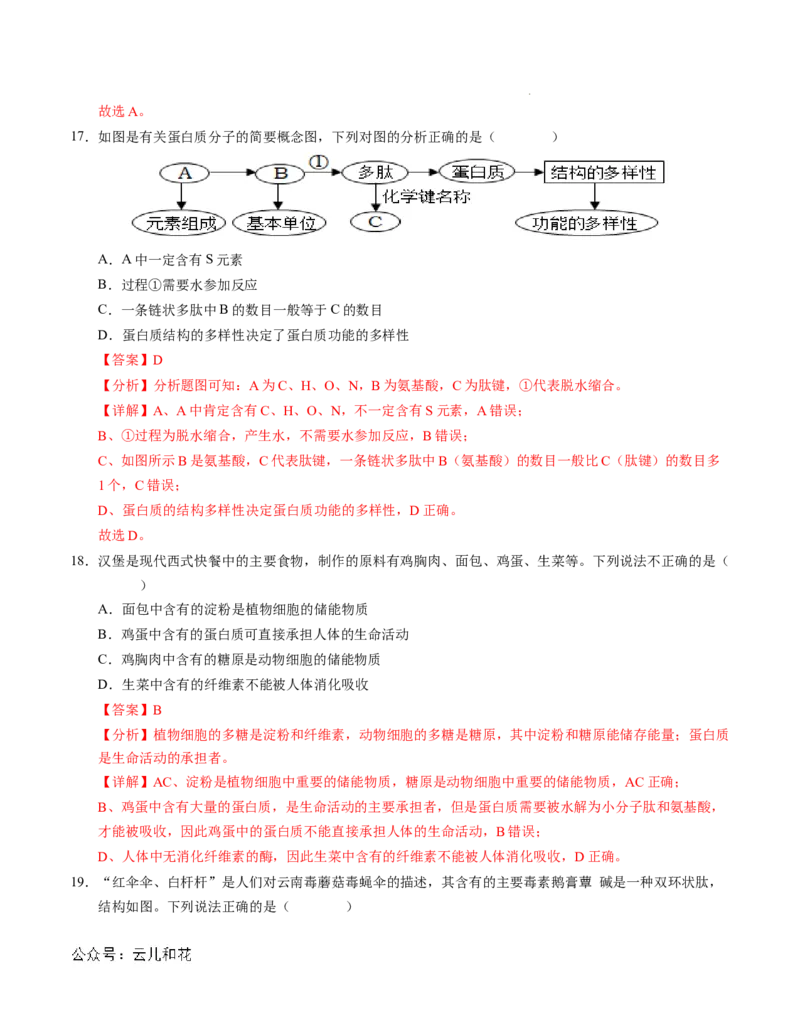 高一生物第一次月考卷01（全解全析）（新高考通用）_1多考区联考试卷_0920（新高考通用）黄金卷：2024-2025学年高一上学期第一次月考（含答题卡word解析版）