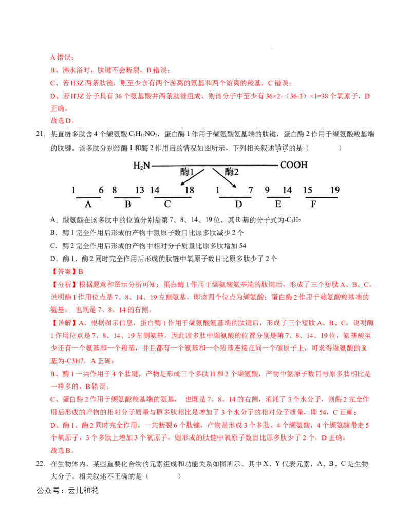 高一生物第一次月考卷01（全解全析）（新高考通用）_1多考区联考试卷_0920（新高考通用）黄金卷：2024-2025学年高一上学期第一次月考（含答题卡word解析版）